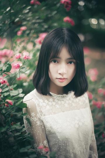 陈情令免费观看全集完整版