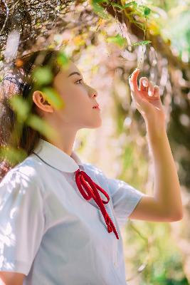 星汉灿烂电视剧免费观看